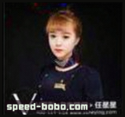 赵子豪